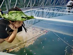 -野三坡刘家河高山漂流