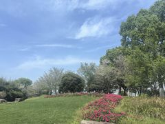 -径山花海