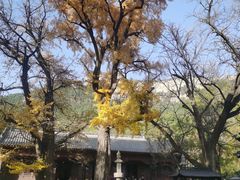 -青州市云门山风景区