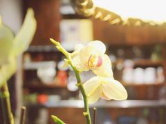 -阳光家常菜(泉乐坊店)