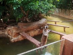 -长鹿旅游休博园