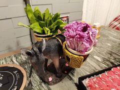 -慢丽江·云南野生菌土鸡锅(付家庄店)