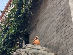 -尤素福东举院饺子馆