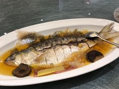 -望乡楼上海菜(日月光店)