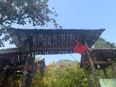 -遵化市禅林寺古银杏风景园