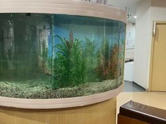 -慈铭体检(洋桥分院)