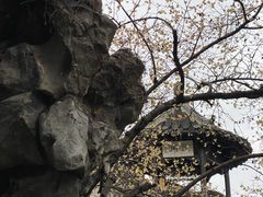 -何园