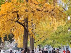 -四川大学(华西校区)