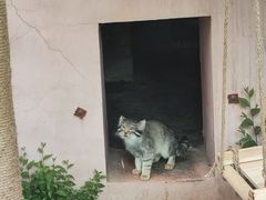 -青藏高原野生动物园