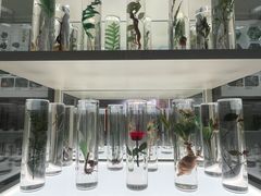 -北京中医药大学-中医药博物馆