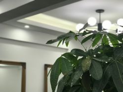 -Meet salon 遇见造型