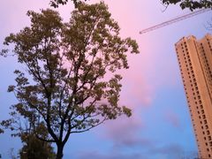 -鲍加兵师傅糕点(永嘉店)