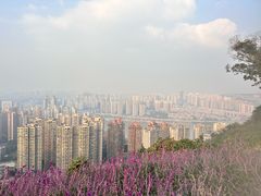 -重庆平顶山公园