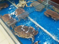 -大江南食府(石景山店)