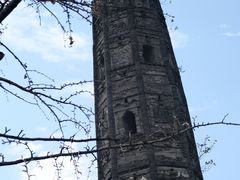 -上海佘山国家森林公园天马山园