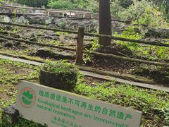 -海口火山口国家地质公园