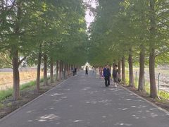 -嘉北郊野公园