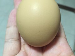 -丹樱生态园