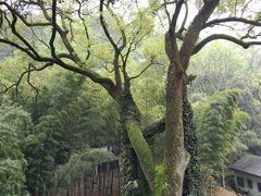 -越弥越南传统美食馆