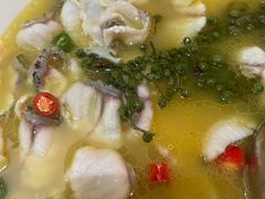 -青花椒花椒鱼(合生汇店)