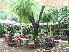 景观位-Fern Forest Cafe