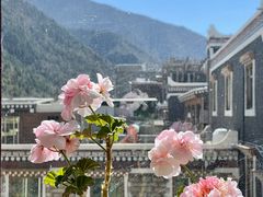 -四姑娘山阿巴郎·藏式花园餐厅