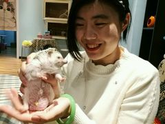 -藦茜花园宠物主题亲子互动体验馆(国顺东路店)