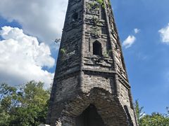 -上海佘山国家森林公园天马山园