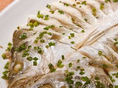 -船歌·鱼水饺青岛菜(石老人店)