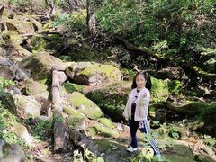 -三块石国家森林公园