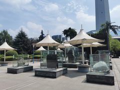 -陕西自然博物馆