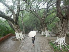 -胡里山炮台