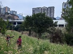 -磁器口古镇