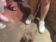 -正佳雨林生态植物园