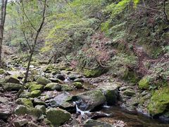 -本溪汤沟绿石谷森林公园