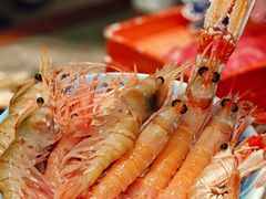-亚马逊蒸汽活海鲜自助(LCM置汇旭辉广场店)