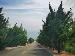-养马岛旅游度假区