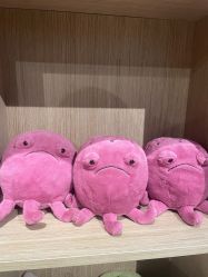 -jELLYCAT(华熙店)