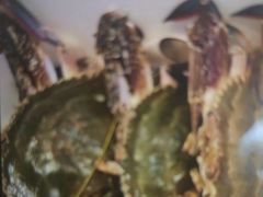 -海立阁海鲜江浙菜(漕河泾印象城店)