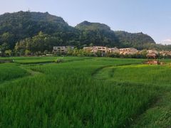 -高荡千年布依古寨旅游景区