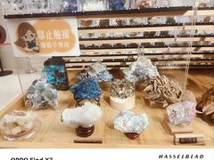 -安徽省地质博物馆