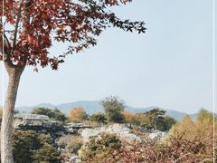 -北京西山国家森林公园