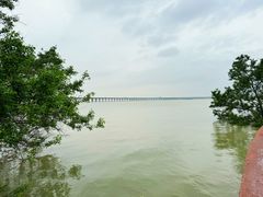 -宝安西湾红树林湿地公园