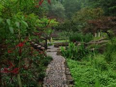 -重庆彩云湖湿地公园