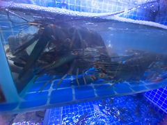 -湘里乡亲甲王二老店