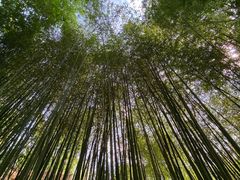 -竹泉村旅游度假区