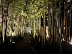 -穹六人间 people 6(岳阳路店)