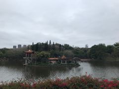 -深圳龙潭公园