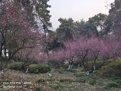 -团城山公园