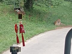 -西安秦岭野生动物园